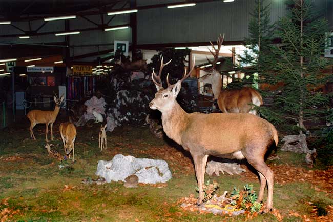 2003-diorama2